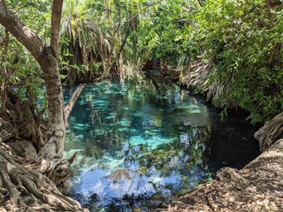 Quellen von Chemka nahe Arusha